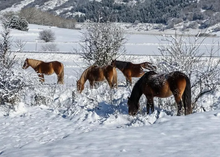 Casa Piccole Marmotte Διαμέρισμα *